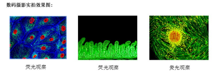 1638440453612519.png image.png