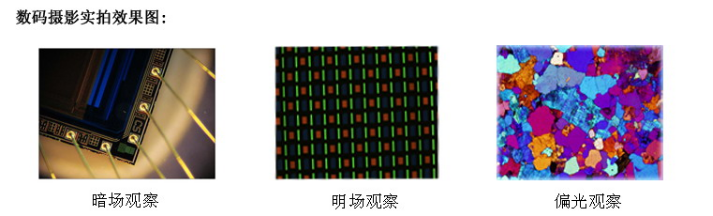 1640154198632493.png image.png