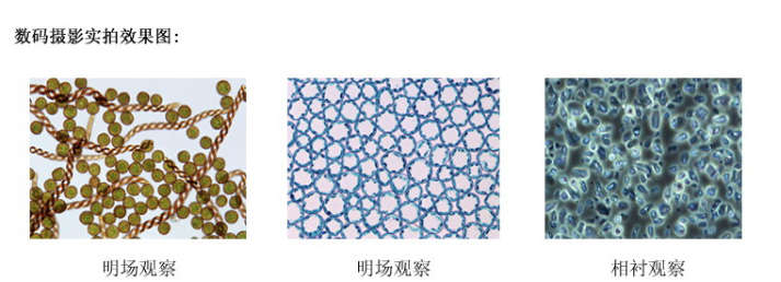 1640669406200386.png image.png