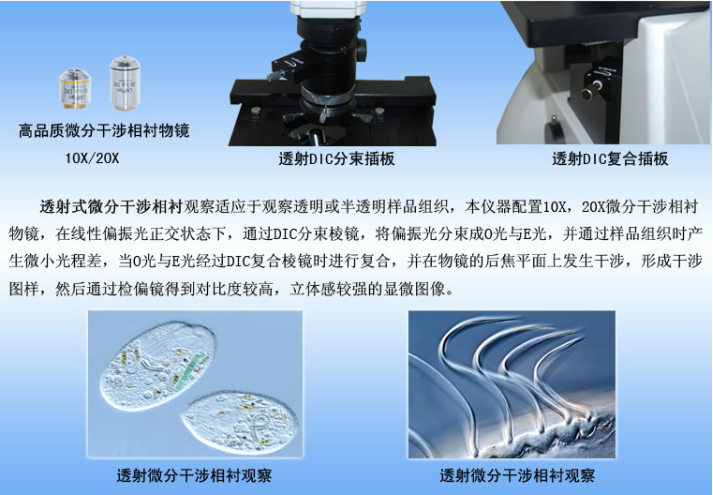 1640677876886060.png image.png