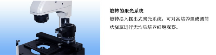 1640677965199979.png image.png