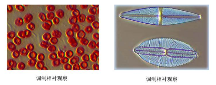 1640679940175583.png image.png