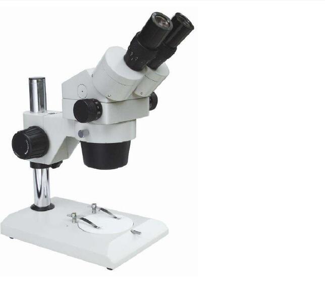 1646037131180869.jpg QQ截圖20220228162500.jpg