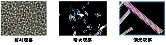 XSP-2800生物顯微鏡 XSP-2800生物顯微鏡